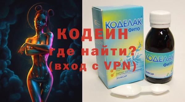 индика Корсаков