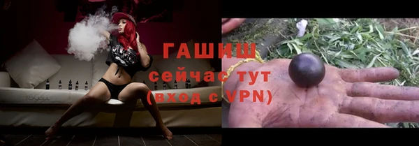 индика Корсаков