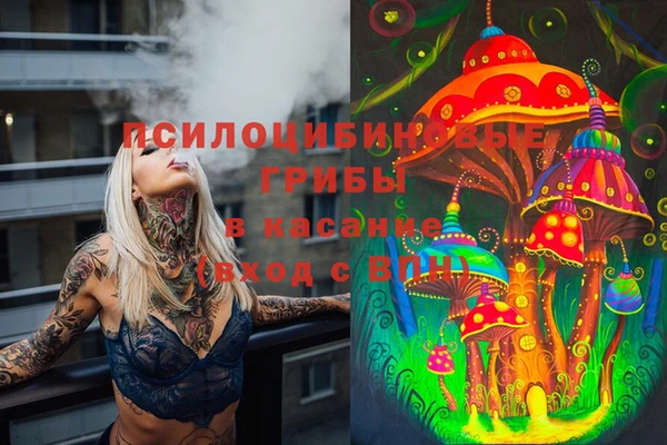 индика Корсаков