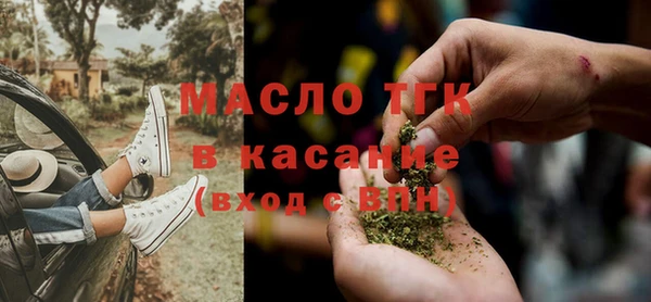 индика Корсаков