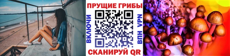 Купить где  Первомайск  Псилоцибиновые грибы MAGIC MUSHROOMS 